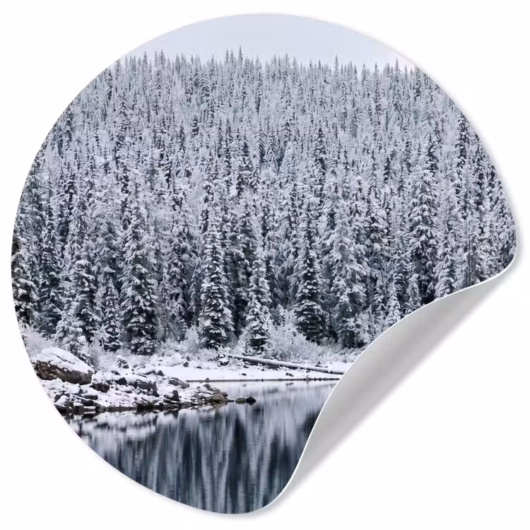 Bos - Reflectie - Meer - Winter - Serene Wandcirkel behangsticker klein -3d