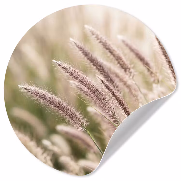 Gras - Close up - Groen Wandcirkel behangsticker klein -3d
