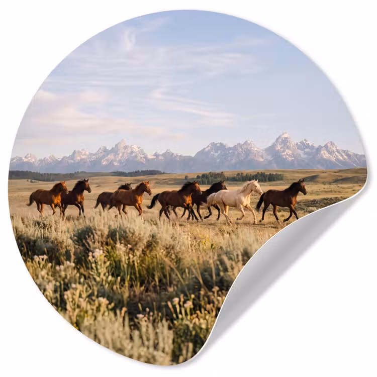 Paarden - Kudde - Bergen - Vrijheid - Wild Wandcirkel behangsticker klein -3d