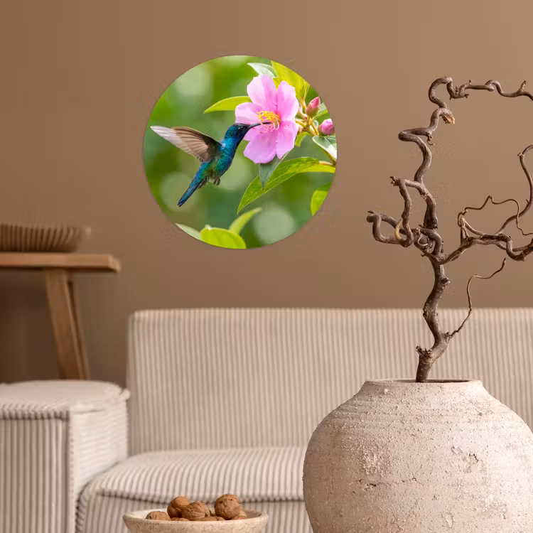 Kolibrie - Bloem - Natuur - Groen Wandcirkel behangsticker klein -sfeer1