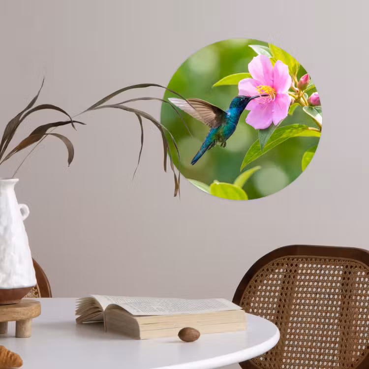 Kolibrie - Bloem - Natuur - Groen Wandcirkel behangsticker klein -sfeer3