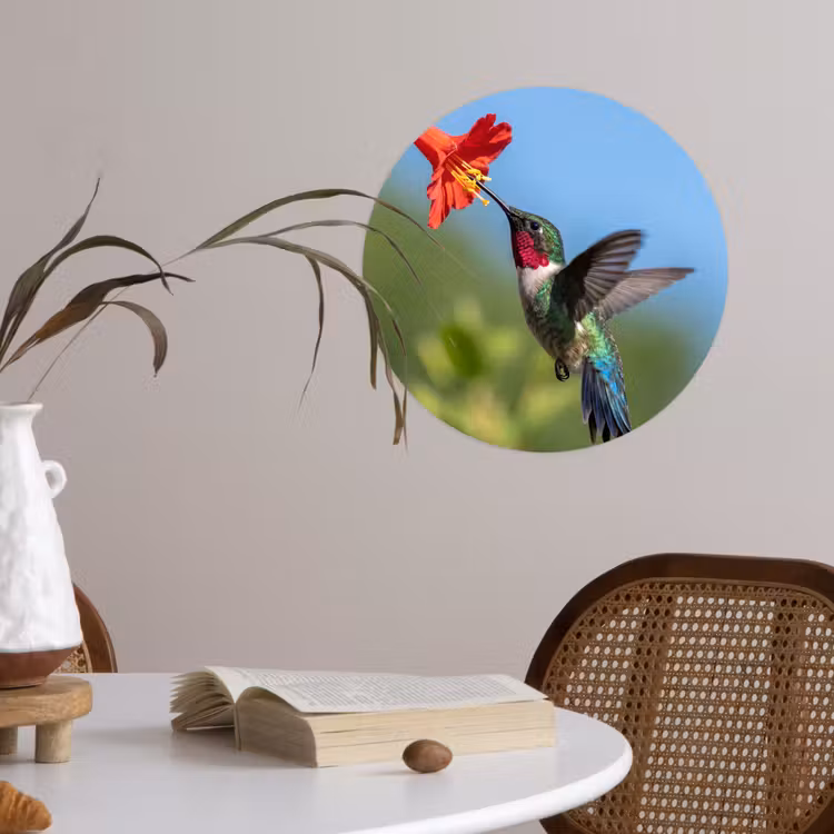 Kolibrie - Bloem - Natuur - Groen Wandcirkel behangsticker klein -sfeer3