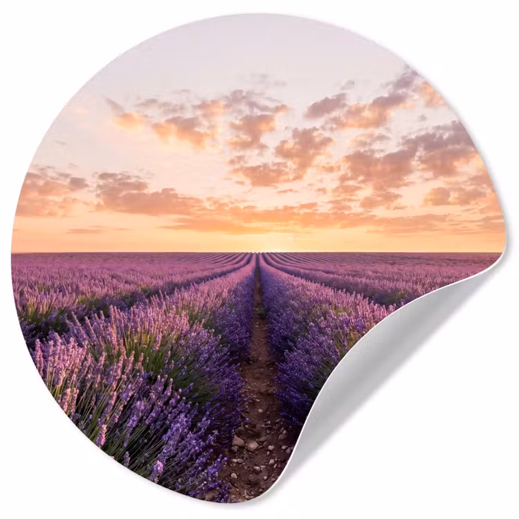Landschap - Lavendelveld - Paars Wandcirkel behangsticker klein -3d
