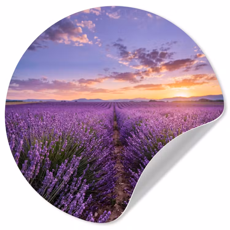 Lavendel - Veld - Natuur - Paars Wandcirkel behangsticker klein -3d