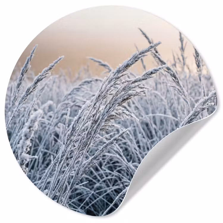 Rijp - Gras - Kristallen - Winter - Minimalistisch Wandcirkel behangsticker klein -3d