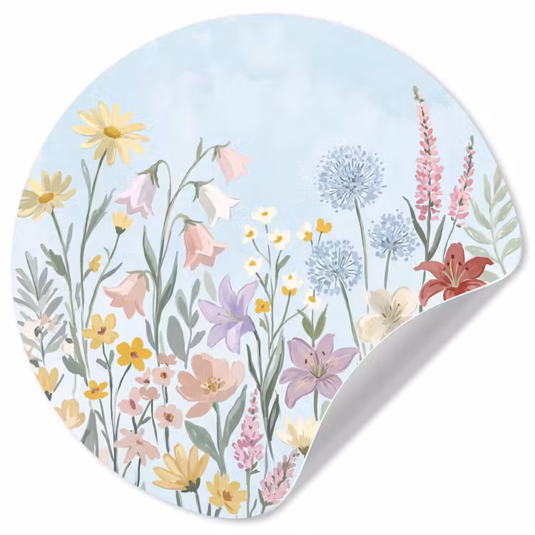 Weidebloemen - Illustratie - Kleurrijk Wandcirkel behangsticker klein -3d