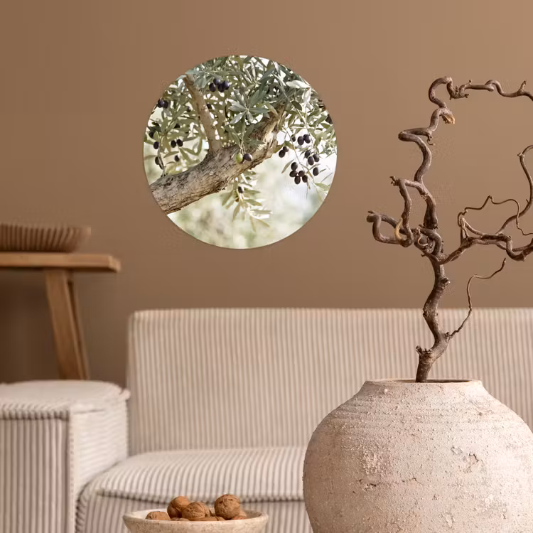 Wallpaper Circle - Olive tree - branch - green - Olijfboom - tak - groen Wandcirkel behangsticker klein