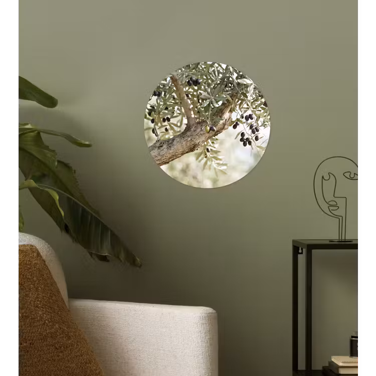 Wallpaper Circle - Olive tree - branch - green - Olijfboom - tak - groen Wandcirkel behangsticker klein