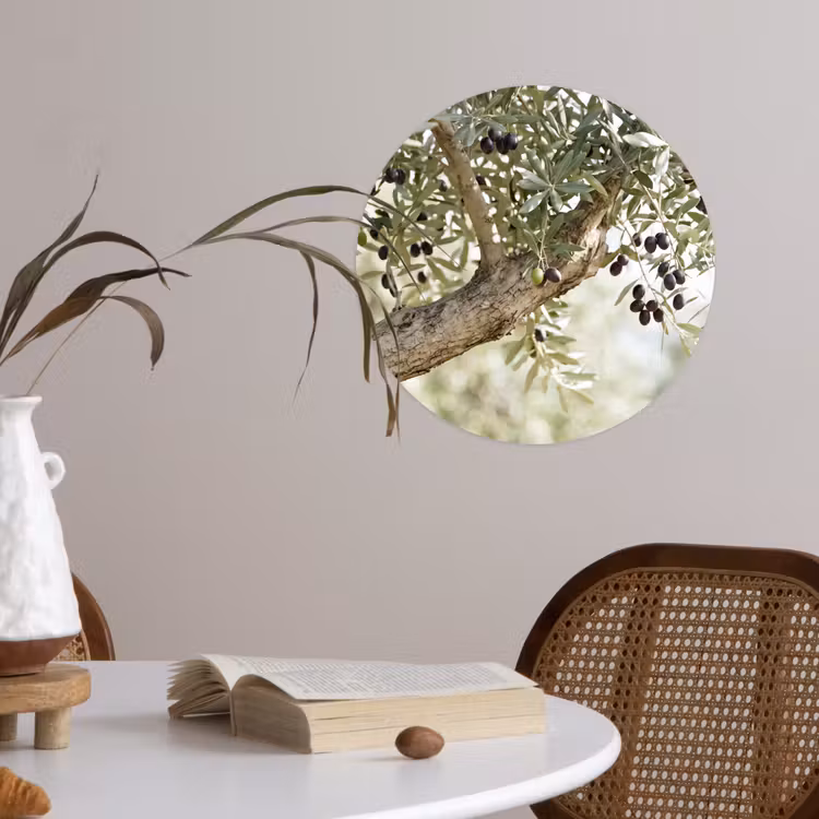 Wallpaper Circle - Olive tree - branch - green - Olijfboom - tak - groen Wandcirkel behangsticker klein
