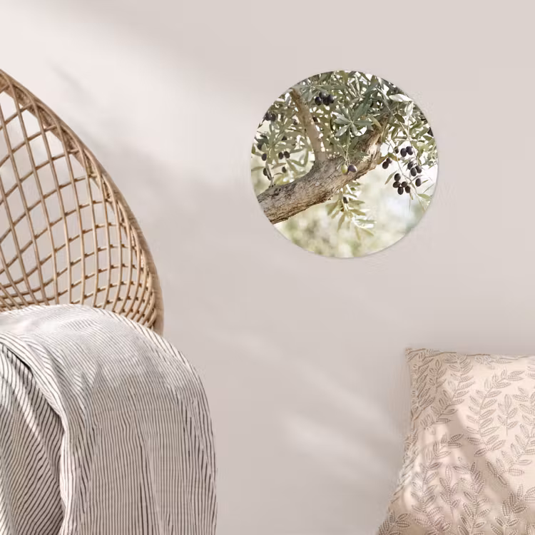 Wallpaper Circle - Olive tree - branch - green - Olijfboom - tak - groen Wandcirkel behangsticker klein