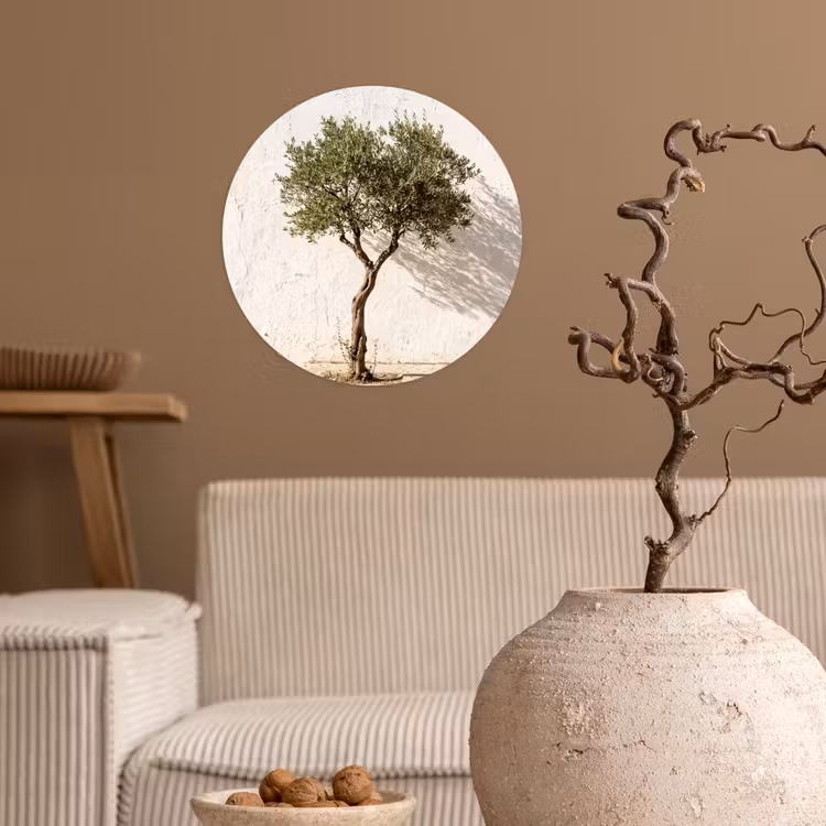 Wallpaper Circle - Olive Tree - Wall - White - Olijfboom - muur - wit Wandcirkel behangsticker klein