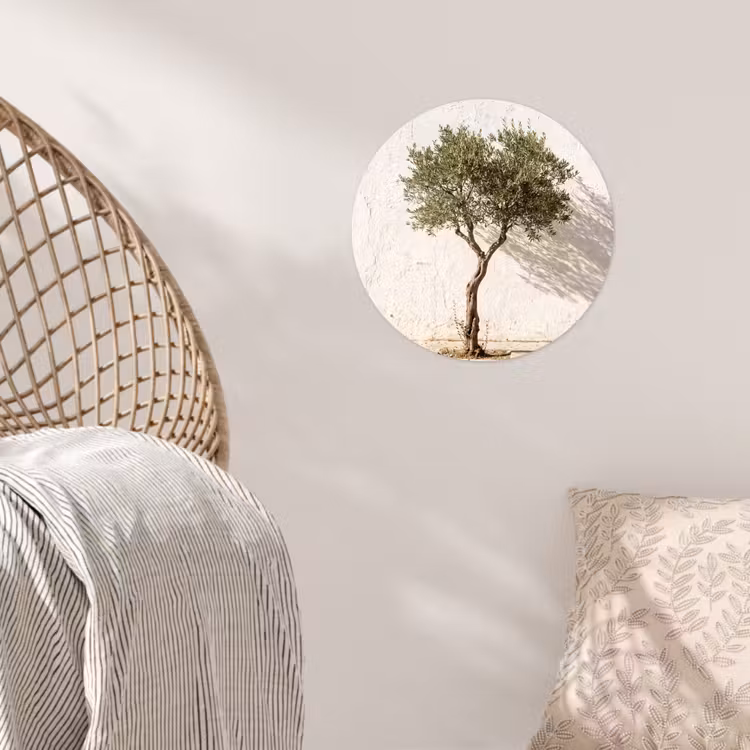 Wallpaper Circle - Olive Tree - Wall - White - Olijfboom - muur - wit Wandcirkel behangsticker klein