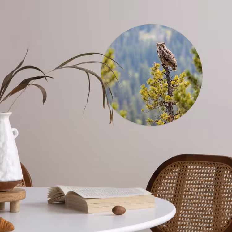 Uil - Oehoe - Bomen - Natuur Wandcirkel behangsticker klein -sfeer3
