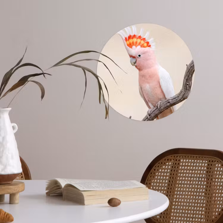 Papagaai - Tak - Roze Wandcirkel behangsticker klein -sfeer3