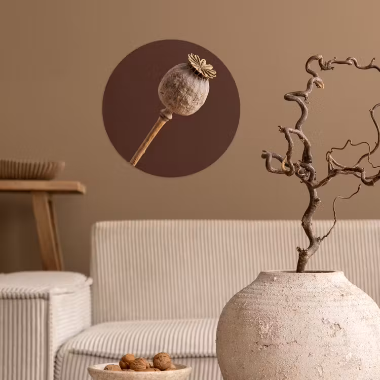 Papaverbol - Droogbloem - Bruin - Minimalistisch Wandcirkel behangsticker klein -sfeer1