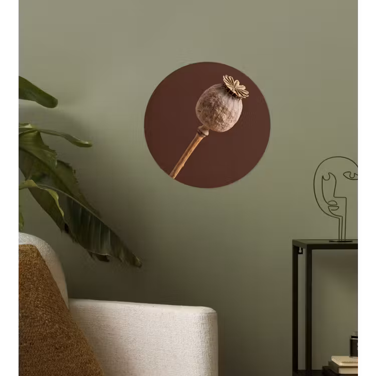Papaverbol - Droogbloem - Bruin - Minimalistisch Wandcirkel behangsticker klein -sfeer2