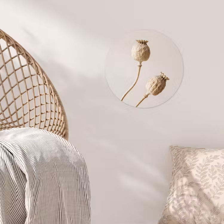 Papaverbollen - Droogbloemen - Minimalistisch - Beige - Rustig Wandcirkel behangsticker klein -sfeer4