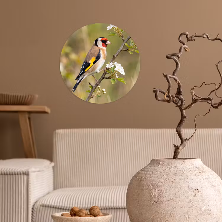 Putter - Bloesem - Lente - Natuur - Kleurrijk Wandcirkel behangsticker klein -sfeer1