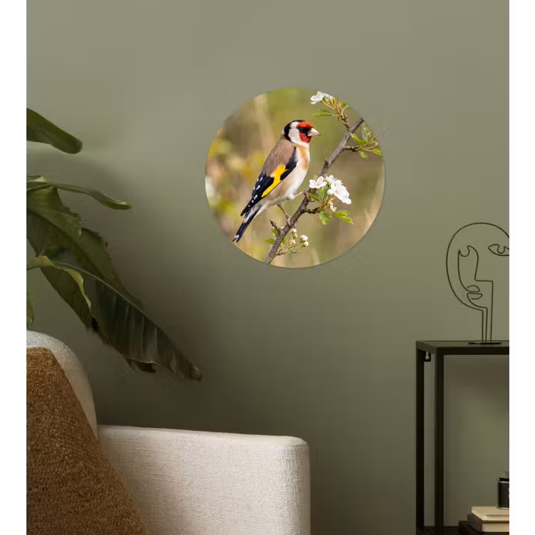 Putter - Bloesem - Lente - Natuur - Kleurrijk Wandcirkel behangsticker klein -sfeer2