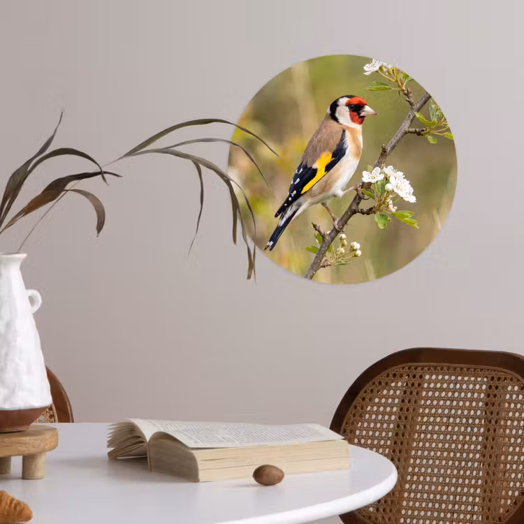 Putter - Bloesem - Lente - Natuur - Kleurrijk Wandcirkel behangsticker klein -sfeer3