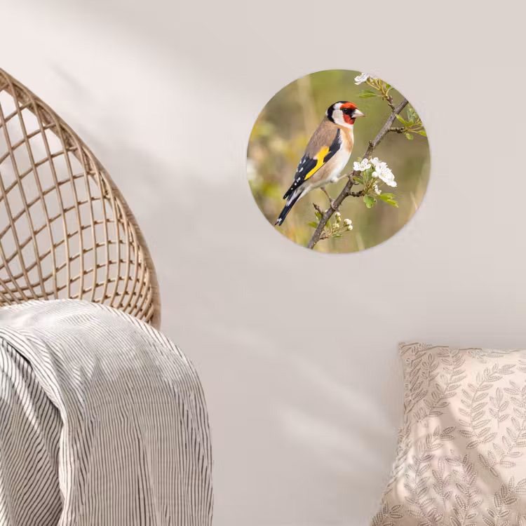 Putter - Bloesem - Lente - Natuur - Kleurrijk Wandcirkel behangsticker klein -sfeer4