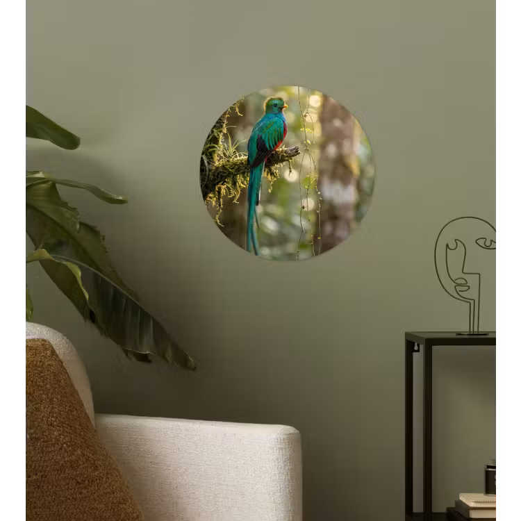 Quetzal - Jungle - Natuur - Groen Wandcirkel behangsticker klein -sfeer2