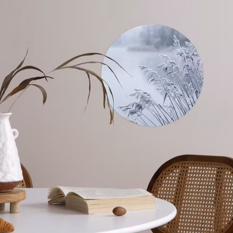 Riet - Bevroren - Winter - Natuur Wandcirkel behangsticker klein -sfeer3