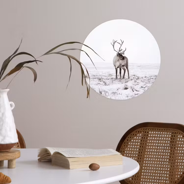 Rendier - Gewei - Sneeuw - Winter Wandcirkel behangsticker klein -sfeer3