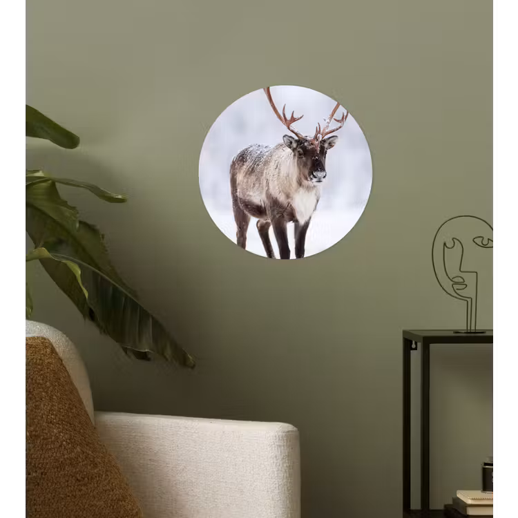 Rendier - Gewei - Toendra - Sneeuw - Wild Wandcirkel behangsticker klein -sfeer2