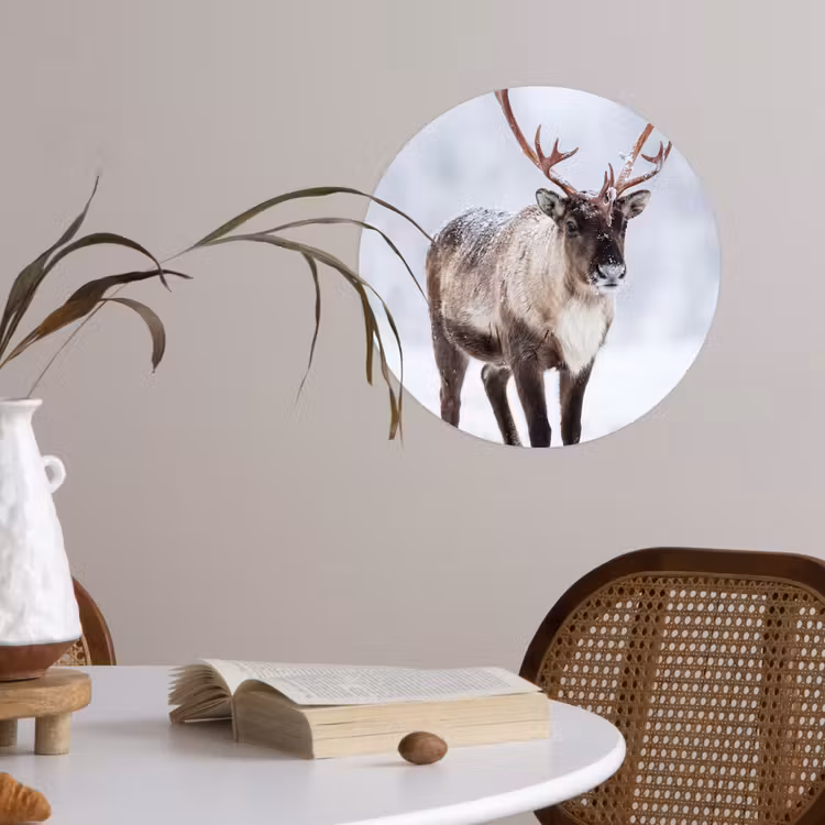 Rendier - Gewei - Toendra - Sneeuw - Wild Wandcirkel behangsticker klein -sfeer3