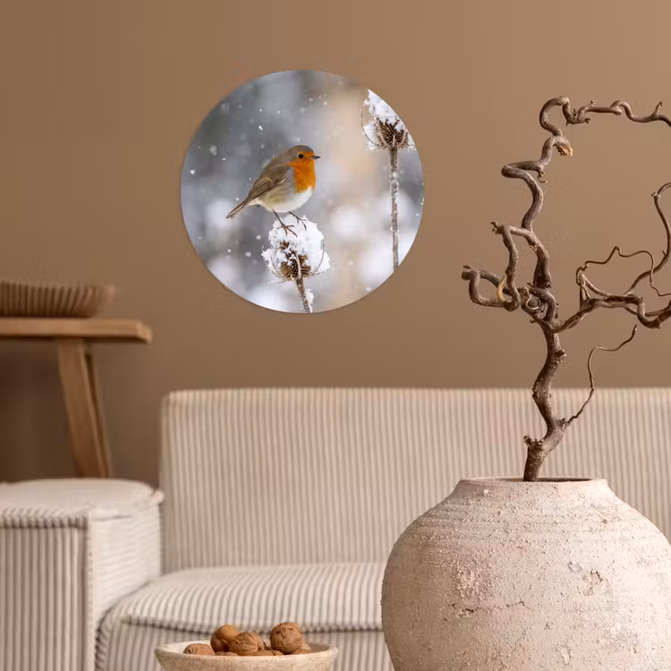Roodborstje - Gedroogde bloem - Sneeuw - Winter - Vertederend Wandcirkel behangsticker klein -sfeer1
