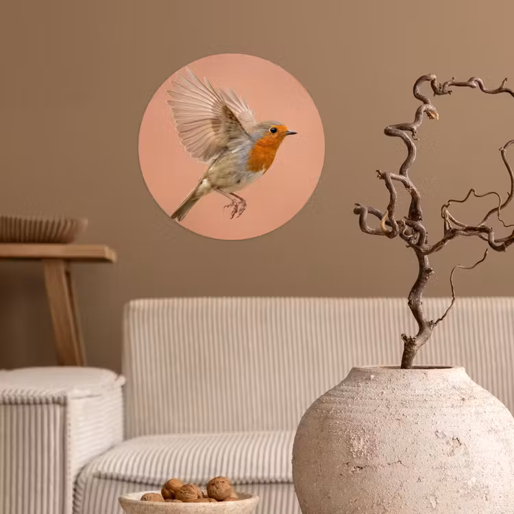 Roodborst - Natuur - Roze Wandcirkel behangsticker klein -sfeer1
