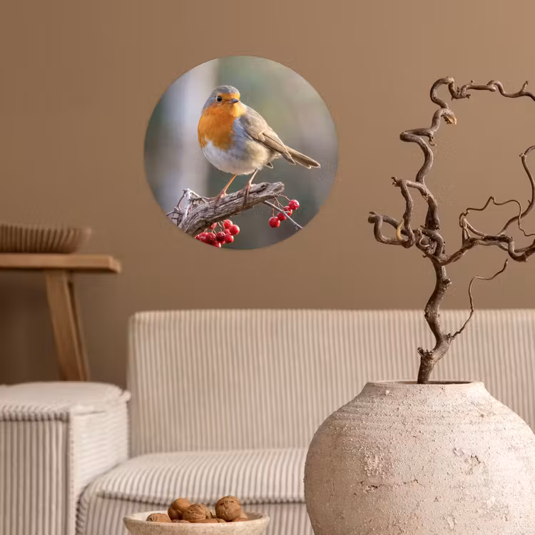 Roodborst - Tak - Bessen - Natuur Wandcirkel behangsticker klein -sfeer1