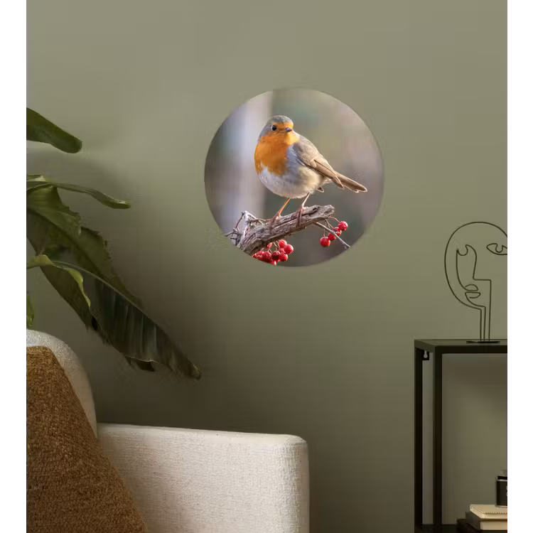 Roodborst - Tak - Bessen - Natuur Wandcirkel behangsticker klein -sfeer2