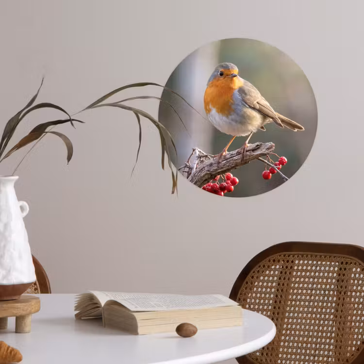 Roodborst - Tak - Bessen - Natuur Wandcirkel behangsticker klein -sfeer3