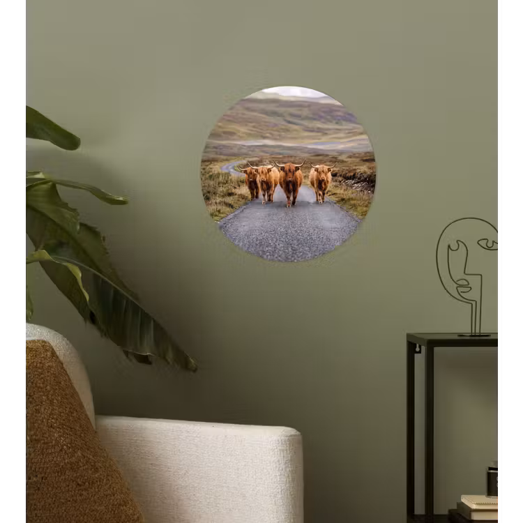 Schotse Hooglanders - Weg - Landschap - Kudde Wandcirkel behangsticker klein -sfeer2