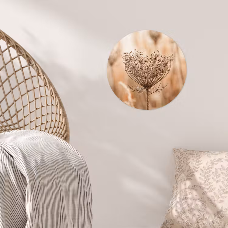 Schermbloem - Droogbloem - Winter - Beige - Minimalistisch Wandcirkel behangsticker klein -sfeer4