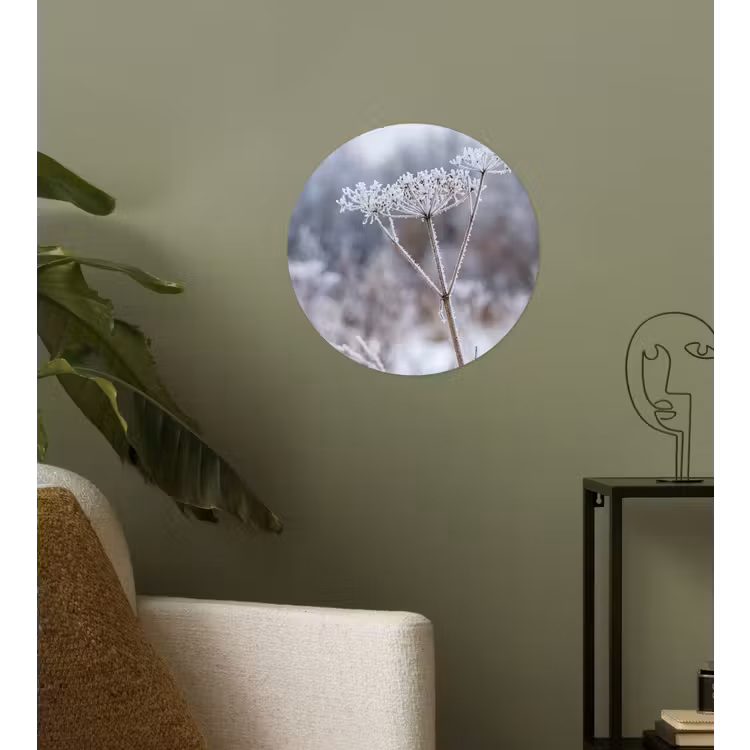 Schermbloem - Rijp - Kristallen - Winter - Delicaat Wandcirkel behangsticker klein -sfeer2