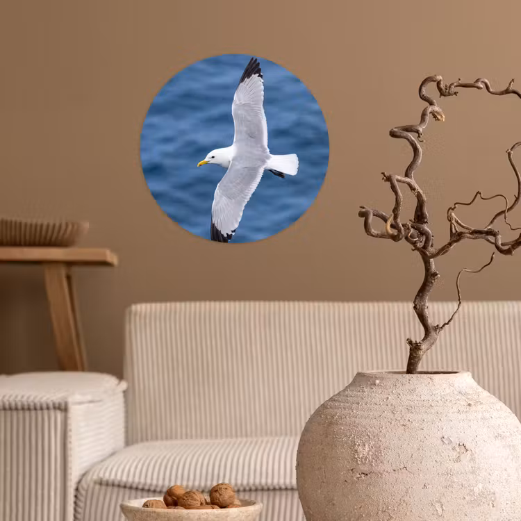 Zeemeeuw - Oceaan - Blauw Wandcirkel behangsticker klein -sfeer1