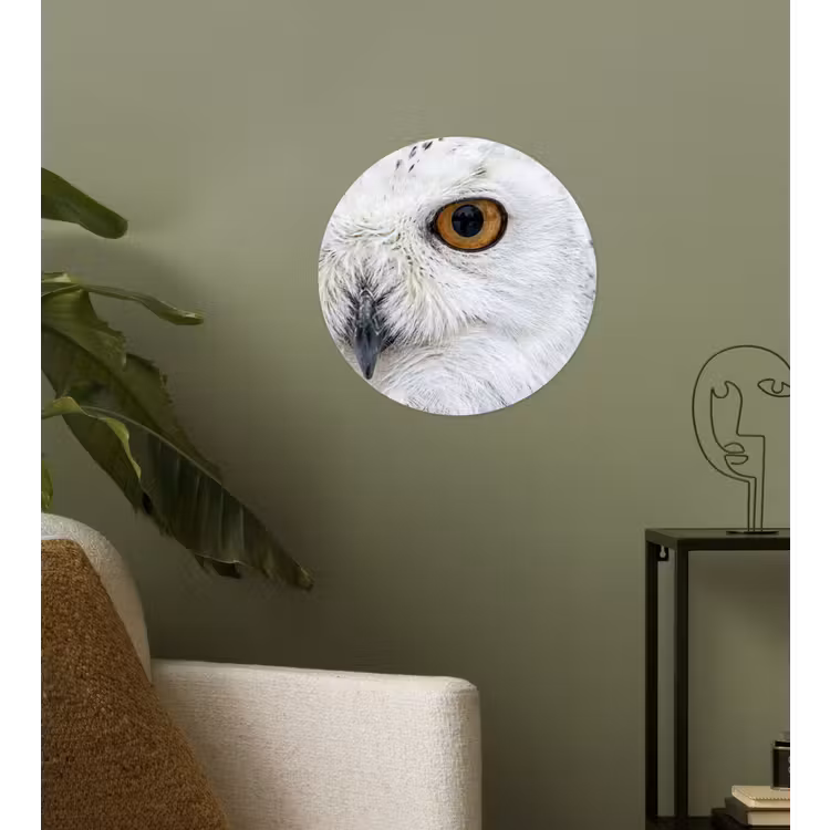 Sneeuwuil - Oog - Wildlife - Wit Wandcirkel behangsticker klein -sfeer2