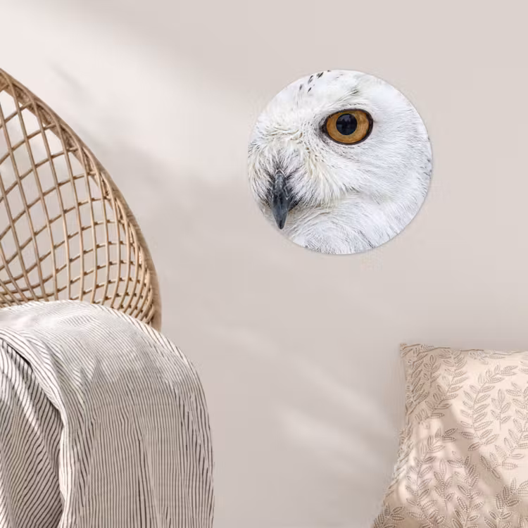 Sneeuwuil - Oog - Wildlife - Wit Wandcirkel behangsticker klein -sfeer4