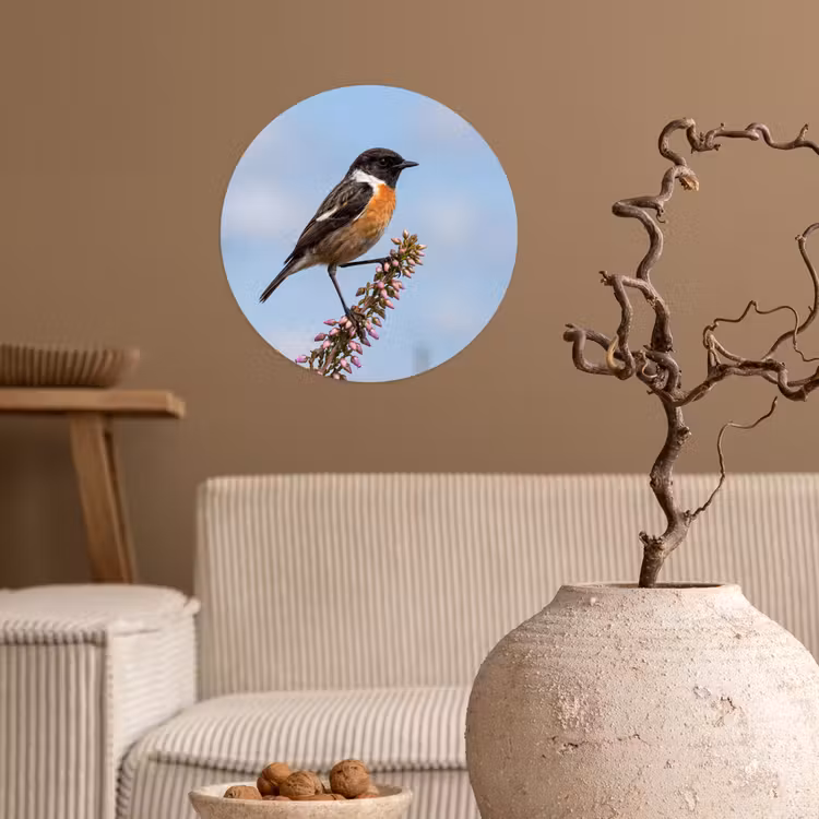 Roodborsttapuit - Heide - Paars - Natuur - Sfeervol Wandcirkel behangsticker klein -sfeer1