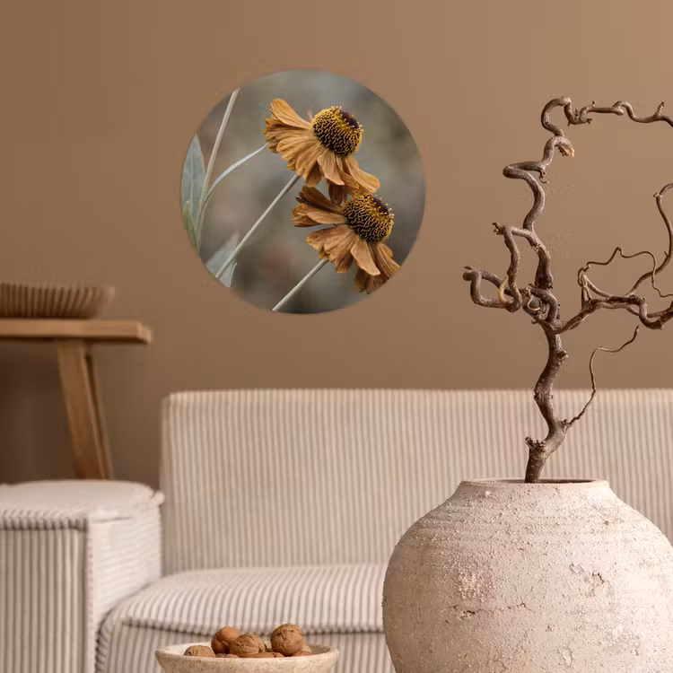 Zonnehoed - Droogbloemen - Geel - Warm Wandcirkel behangsticker klein -sfeer1