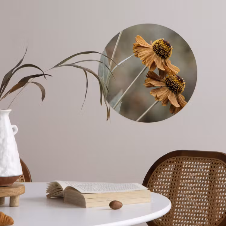 Zonnehoed - Droogbloemen - Geel - Warm Wandcirkel behangsticker klein -sfeer3