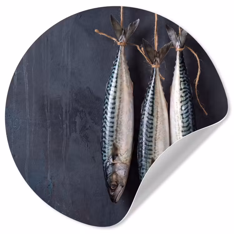 Wallpaper Circle - Three Fish - Rope - Drie vissen - Touw Wandcirkel behangsticker klein