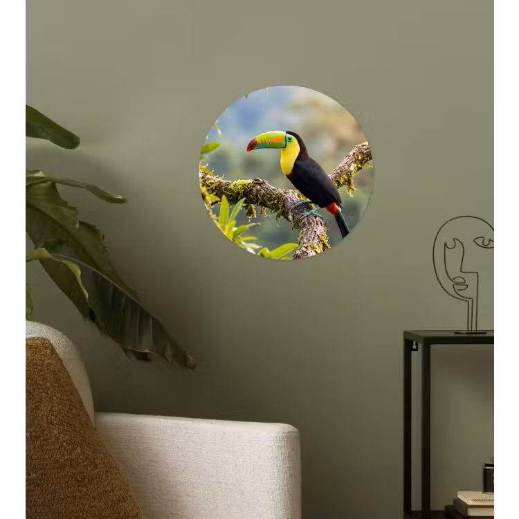 Toekan - Jungle - Natuur - Kleurrijk Wandcirkel behangsticker klein -sfeer2