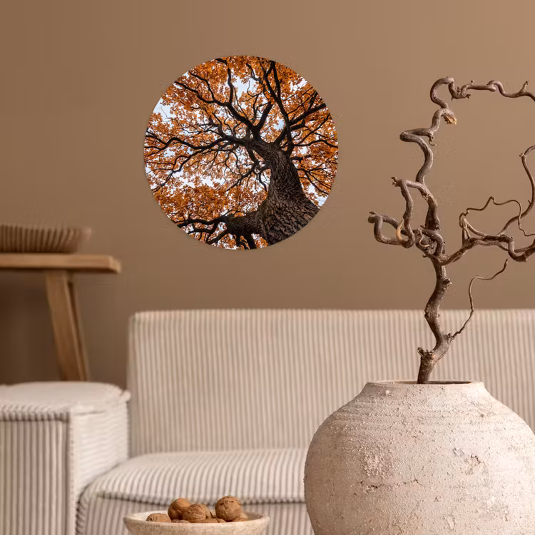 Boom - Bladerdak - Herfst - Oranje - Sfeervol Wandcirkel behangsticker klein -sfeer1