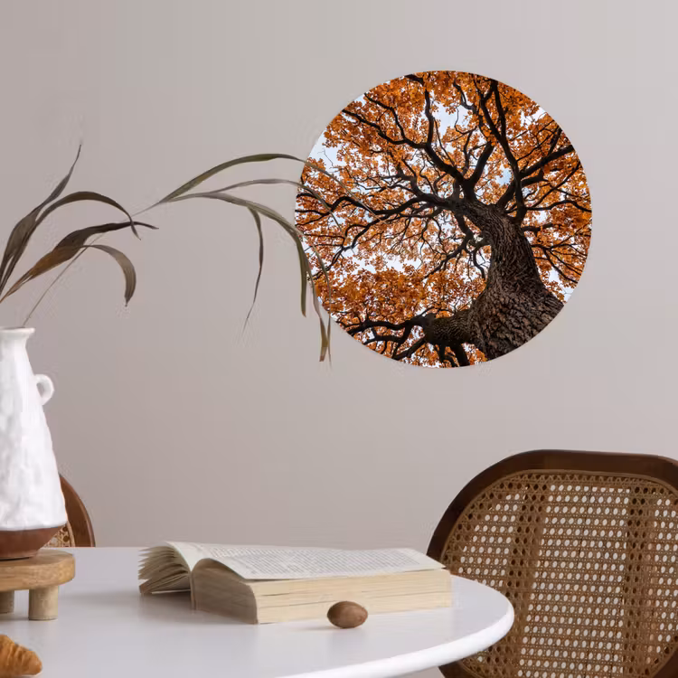 Boom - Bladerdak - Herfst - Oranje - Sfeervol Wandcirkel behangsticker klein -sfeer3