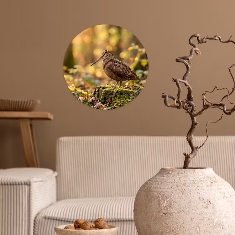 Houtsnip - Bos - Bladeren - Herfst - Gecamoufleerd Wandcirkel behangsticker klein -sfeer1