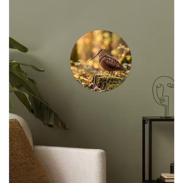 Houtsnip - Bos - Bladeren - Herfst - Gecamoufleerd Wandcirkel behangsticker klein -sfeer2